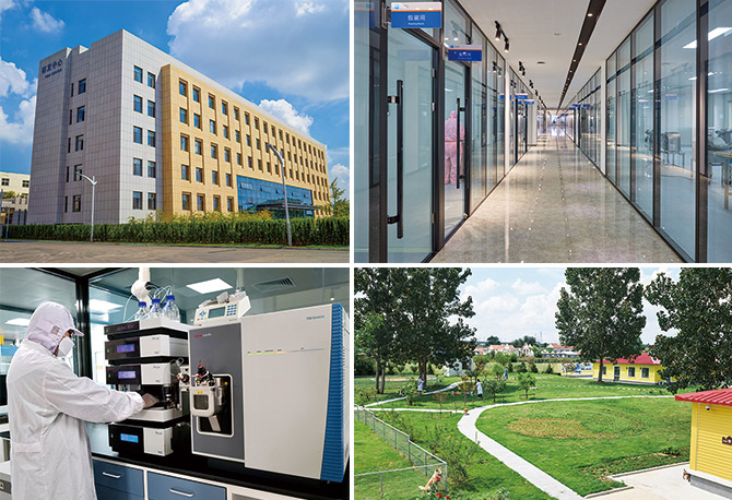 ɭ��������-׷�󿵽�,����һ������