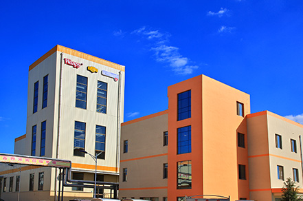 ɭ��������-׷�󿵽�,����һ������