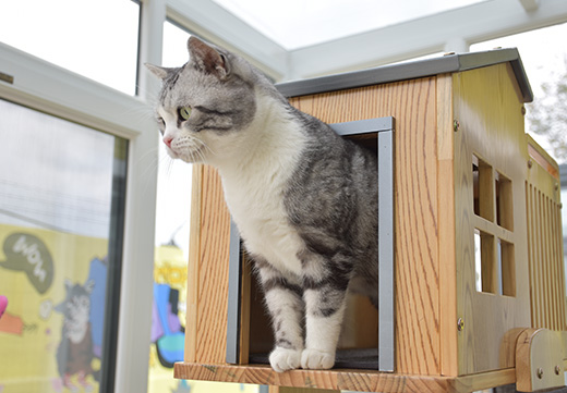 ɭ��������-׷�󿵽�,����һ������