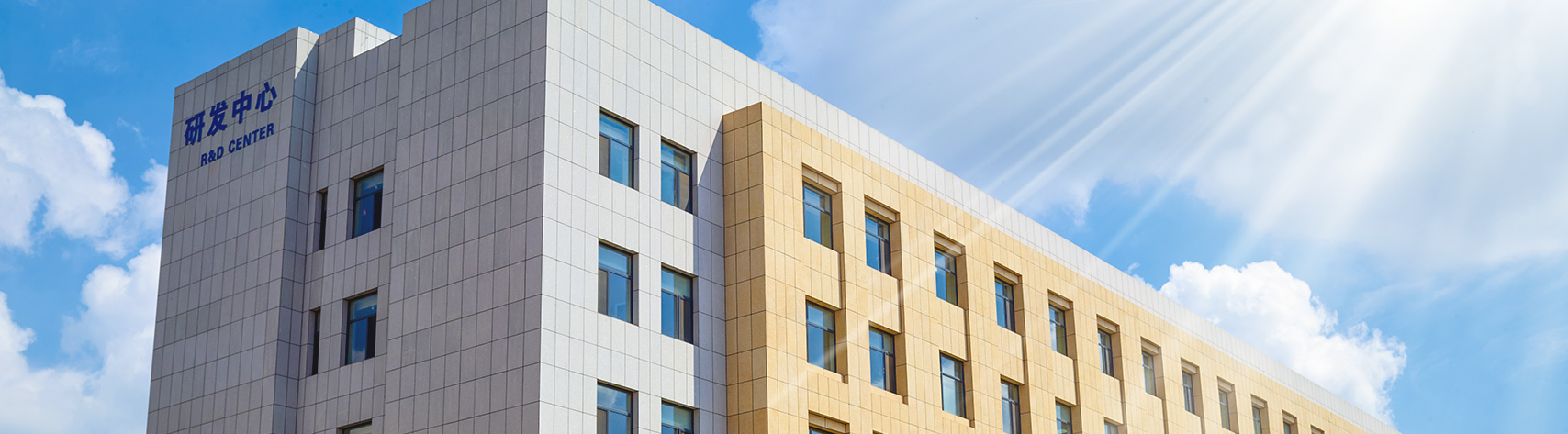 ɭ��������-׷�󿵽�,����һ������