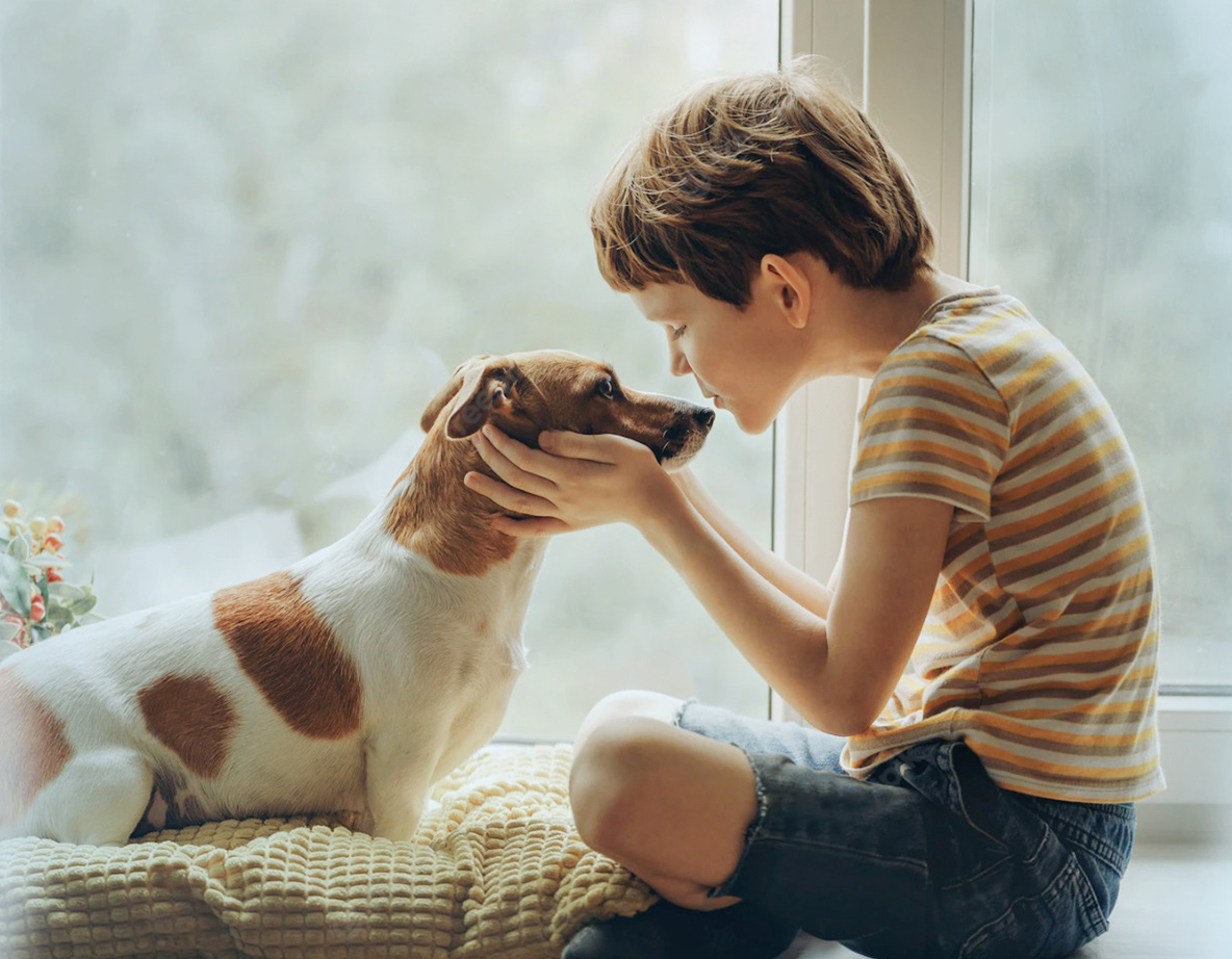 ɭ��������-׷�󿵽�,����һ������