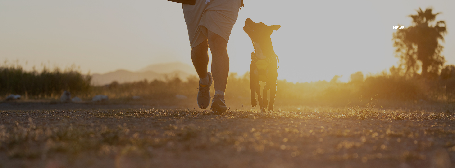 ɭ��������-׷�󿵽�,����һ������