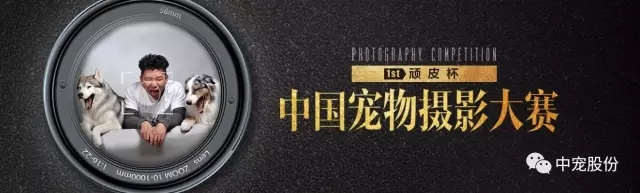 ɭ��������-׷�󿵽�,����һ������