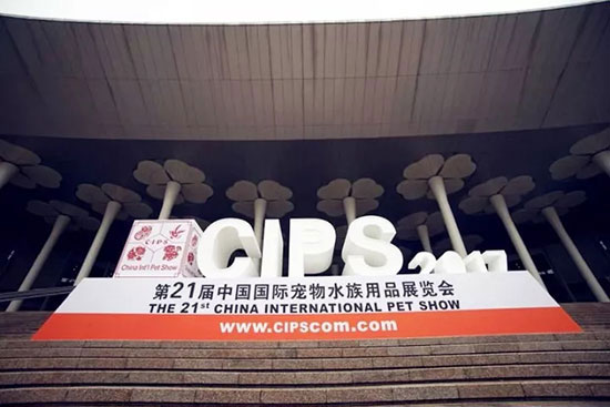 ɭ��������-׷�󿵽�,����һ������