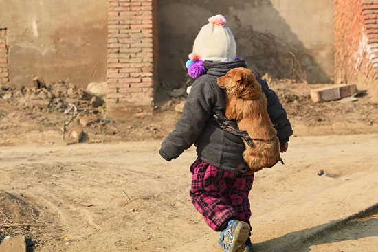 ɭ��������-׷�󿵽�,����һ������