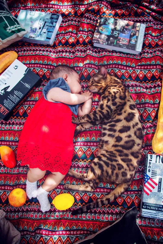 ɭ��������-׷�󿵽�,����һ������