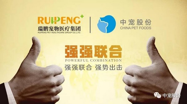 ɭ��������-׷�󿵽�,����һ������