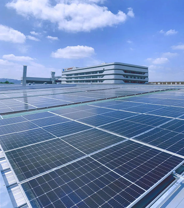 ɭ��������-׷�󿵽�,����һ������