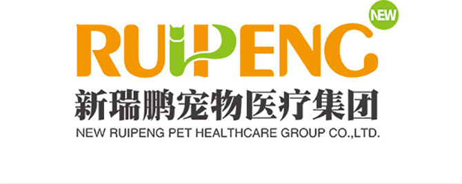 ɭ��������-׷�󿵽�,����һ������