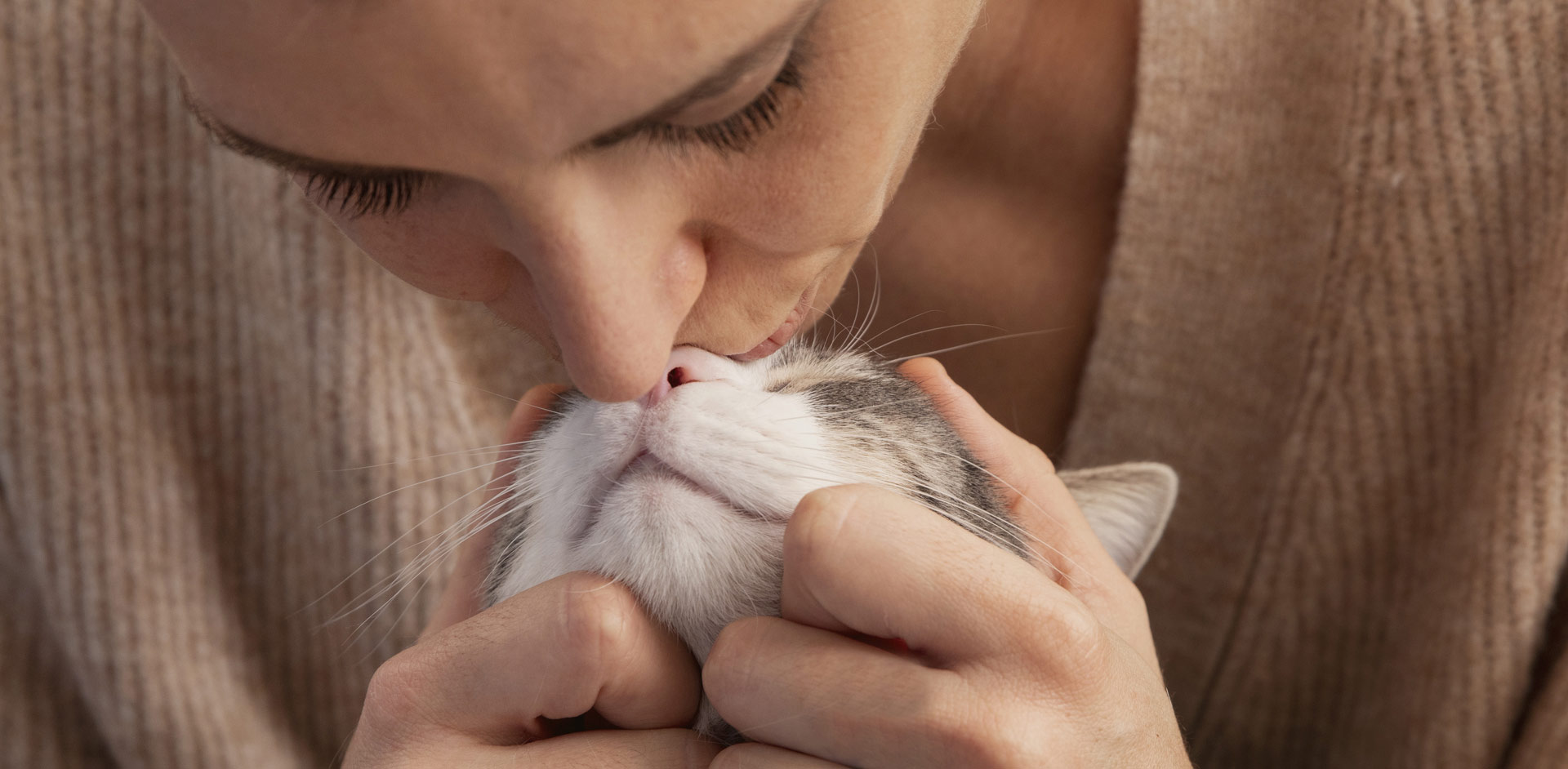 ɭ��������ʳ��ɷ����޹�˾