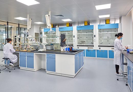 ɭ��������-׷�󿵽�,����һ������