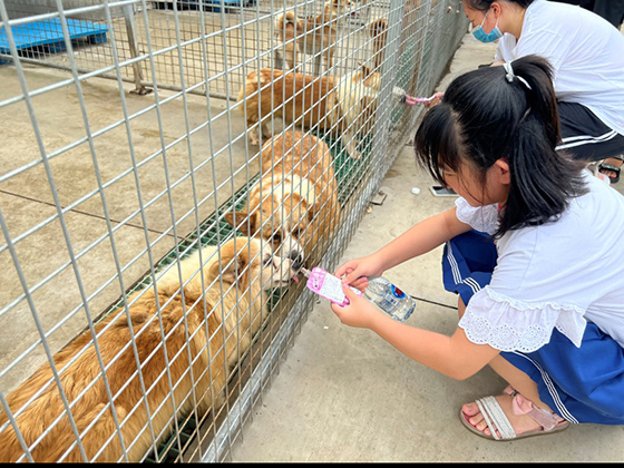 ɭ��������-׷�󿵽�,����һ������