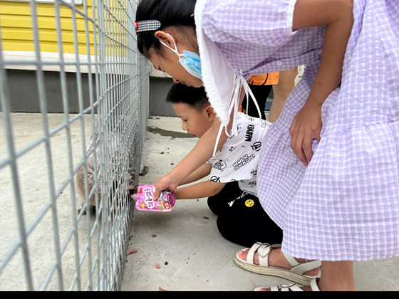 ɭ��������-׷�󿵽�,����һ������