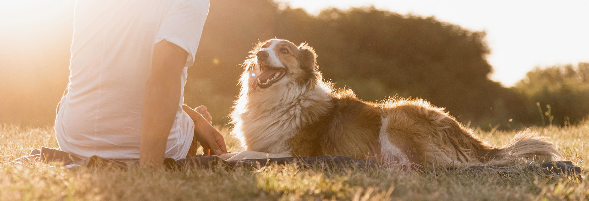 ɭ��������-׷�󿵽�,����һ������