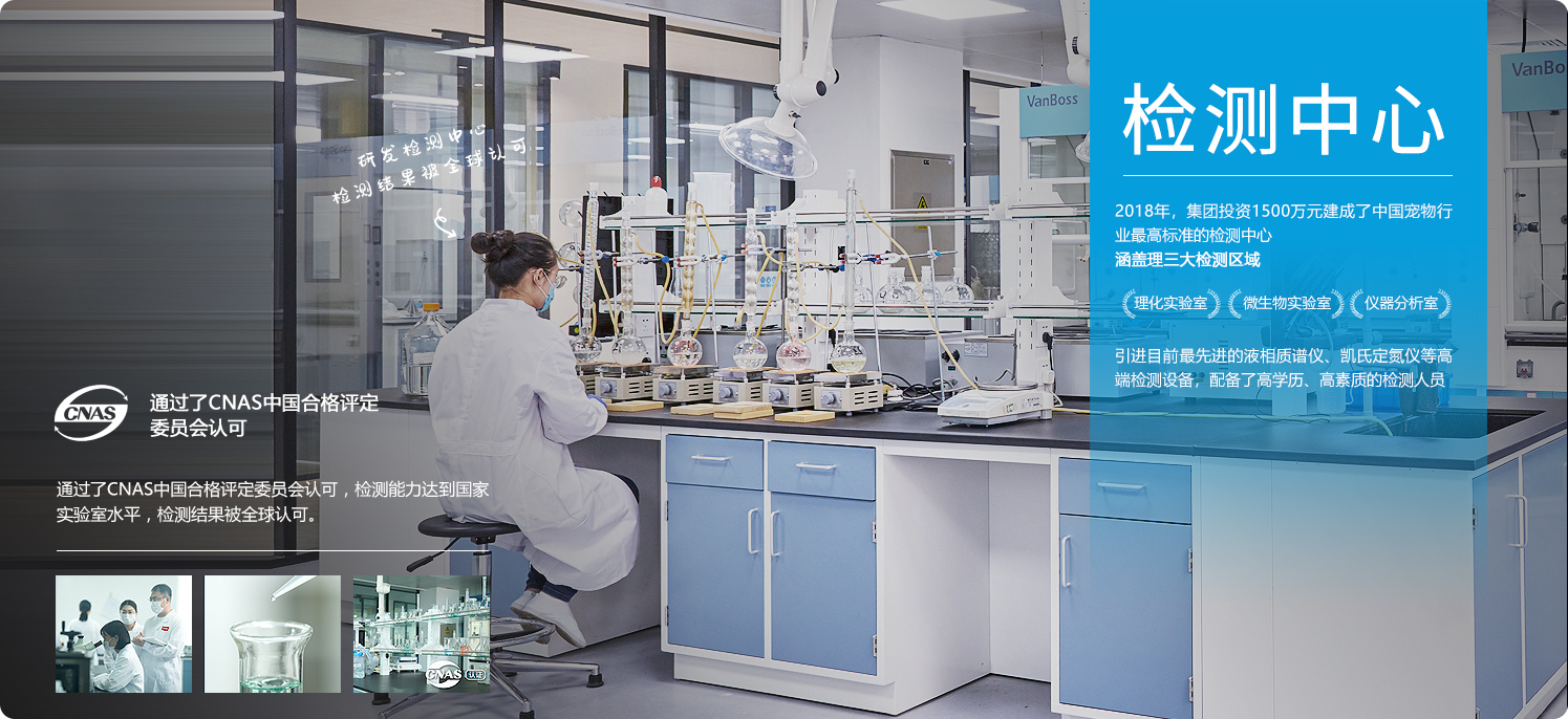 ɭ��������-׷�󿵽�,����һ������