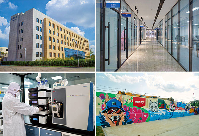 ɭ��������-׷�󿵽�,����һ������