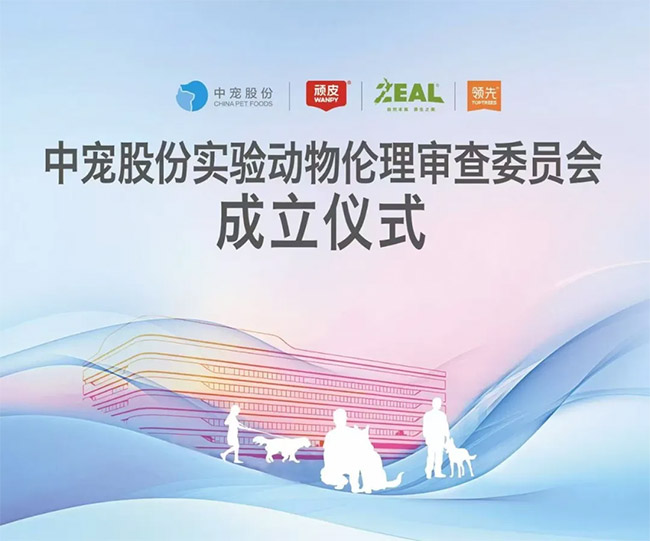 ɭ��������-׷�󿵽�,����һ������